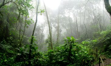 İstanbul Çıkışlı 9 Gece 10 Gün Kolombiya & Panama Turu | Bogotá – Medellín – Cartagena – Panama City